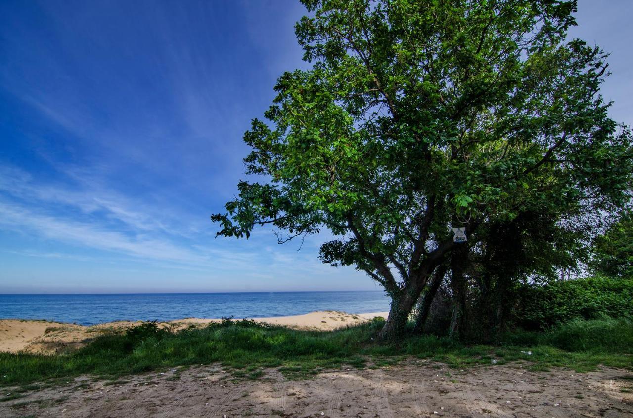 Alex Village Shkorpilovtsi ภายนอก รูปภาพ